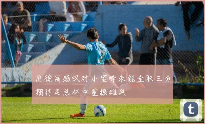 厄德高感叹对小蜜蜂未能全取三分期待足总杯中重振雄风
