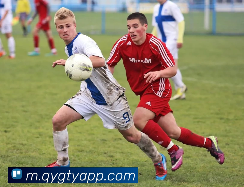 奇异果体育APP平台生态图